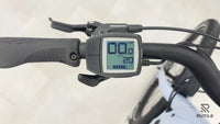 Cannondale Adventure Neo 3.1 EQ Dust Blue LG