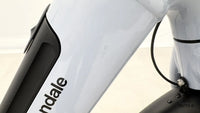 Cannondale Adventure Neo 3.1 EQ Dust Blue LG