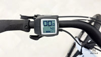 Cannondale Adventure Neo 3.1 EQ Dust Blue LG