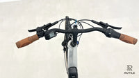 Gitane E-CITY STEP D8+