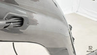 Pegasus Savino