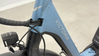 Victoria E Urban 11.9