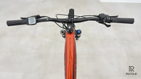 Bulls Copperhead EVO AM 1 625