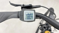 Raleigh Dundee 10
