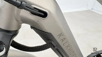Kalkhoff Image 7
