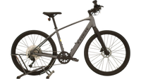 Trek Dual Sport + 2