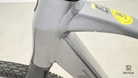 Trek Dual Sport + 2
