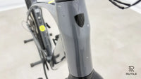 Trek Dual Sport + 2