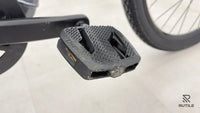 Trek Dual Sport + 2