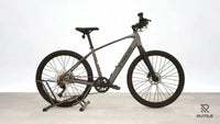 Trek Dual Sport + 2