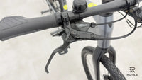 Trek Dual Sport + 2