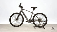 Trek Dual Sport + 2