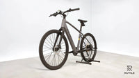 Trek Dual Sport + 2