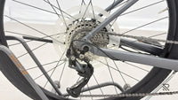 Trek Dual Sport + 2