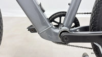 Trek Dual Sport + 2