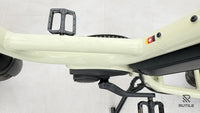 Benno Bike RemiDemi XL