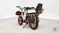 Benno Bike RemiDemi XL