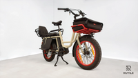 Benno Bike RemiDemi XL