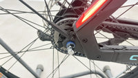 Bianchi E-Omnia C-Type Nexus