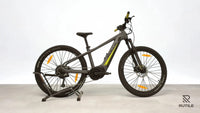 Bulls Twenty 6 EVO 26' AP5
