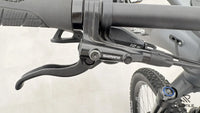 Carver Strict E.440
