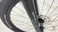Carver Strict E.510
