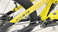 Haibike ALLMTN 3