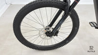 Haibike ALLMTN 3