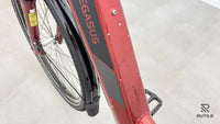 Pegasus Solero EVO 7 R Plus
