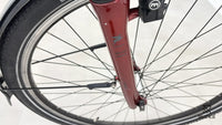 Pegasus Solero EVO 7 R Plus