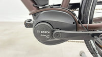 Triumph E Bird Plus 8K