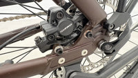 Triumph E Bird Plus 8K