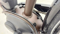 Triumph E Bird Plus 8K