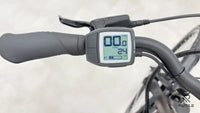 Triumph E Bird Plus 8K