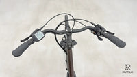 Triumph E Bird Plus 8K