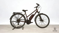 Triumph E Bird Plus 8K