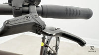 Triumph E Bird Plus 8K