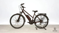 Triumph E Bird Plus 8K