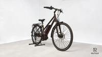Triumph E Bird Plus 8K