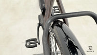 Triumph E Bird Plus 8K