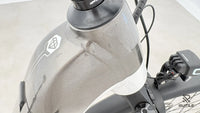 Victoria Manoc 3