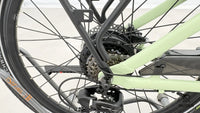 UTO OG24 Vert Sauge