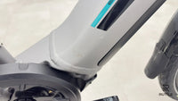 Pegasus EVO CX