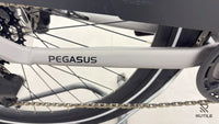 Pegasus EVO CX