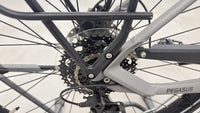 Pegasus EVO CX