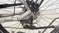 Pegasus EVO CX