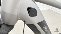 Pegasus EVO CX