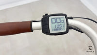 Electra Bicycle Go