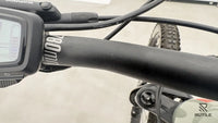 Haibike ALLMTN 4
