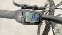 Haibike ALLMTN 4